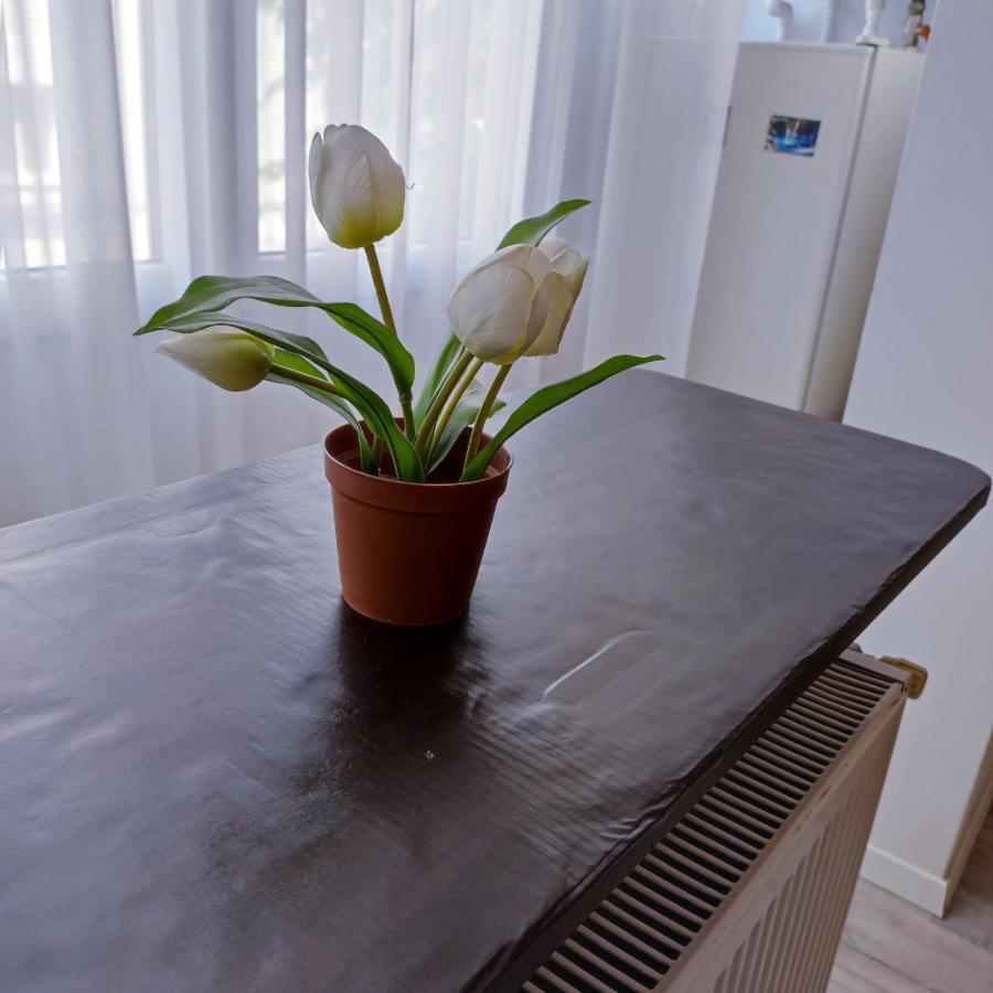 Garsoniera Centrul Bucurestiului Appartement Buitenkant foto